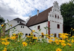 Kloster Frankenhausen aus der Froschperspektive