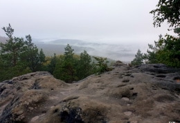 Nebelstimmung im Sächsischen Sandstein