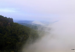 Nebelstimmung im Sächsischen Sandstein