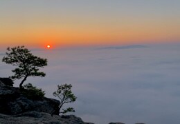 Sonnenaufgang über einem Nebelozean auf dem Lilienstein