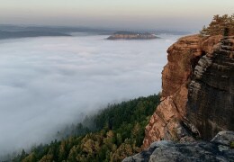 Festung Königstein in einem Ozean aus Nebel