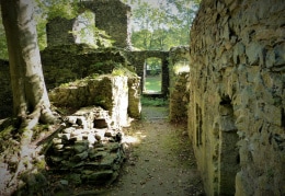 Altzella bei Nossen, in den Ruinen der Klosterbauten unterwegs