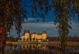 Goldener Oktober in Moritzburg