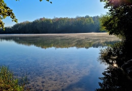 Herbstliches Wochenende am Kaolin See und in Grimma