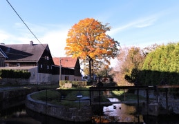 Goldener Herbstmorgen am Dorfbach