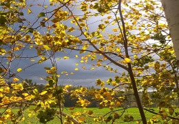 Goldener Oktober gegen Herbststurm