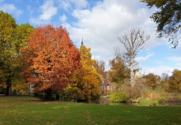 Herbst im Fürst Pückler Park Bad Muskau 