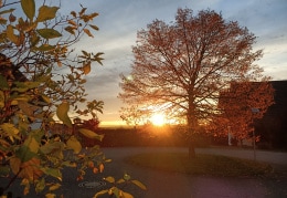 Herbst Sonnenuntergang 