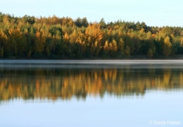 Vor Sonnenaufgang, Herbststimmung am Bärwalder See