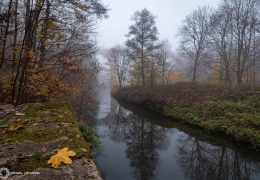 Ein nebliger Herbsttag am Viadukt in Görlitz