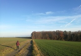 Nordic Walking bei Sonnenschein