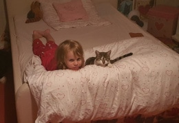 Katze Lilly und Mona- Lou hören gespannt noch ihre "Gute Nacht Geschichte"