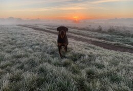 Carlos und sein erster Sonnenaufgang 