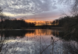 Morgenstimmung im Limbacher Teichgebiet