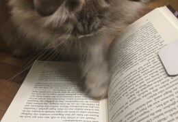 Unsere Flocke mit ihrem Lieblingsbuch. Sie „liest“ gerne !