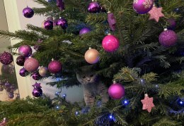 Weihnachtsbaumschmuck Kirito