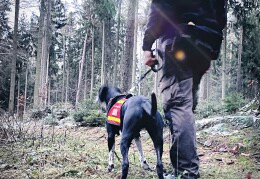 Training bei der Rettungshundestaffel des ASB