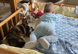 Unsere Katze Merle als Babysitter