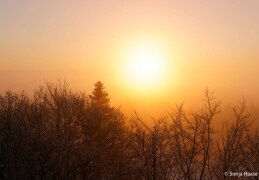 Sonnenaufgang.. vom Bieleboh-Turm aus fotografiert