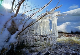 Winter in Altenberg 