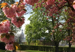 Frühling im Palaisgarten