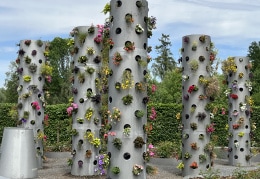 Blumensäulen im Oschatzpark