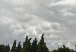 Mammatuswolken in Waldheim