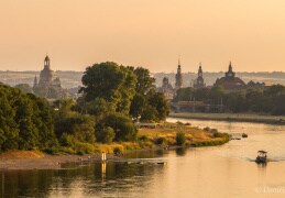 Dresden im goldenen Licht der Abendsonne