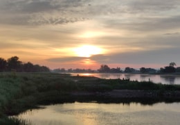 Sonnenaufgang Elbe bei Rogätz