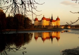 Abfischen am Schloss Moritzburg