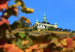 Letzter goldener Oktobertag in Radebeul mit Blick auf das Spitzhaus