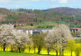 Frühling in Weigsdorf/ Köblitz