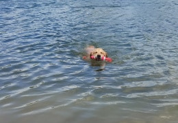 Emma baden im See