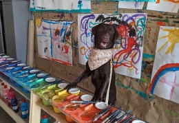 Jobs for dogs -der Besuchshund in der Kita 