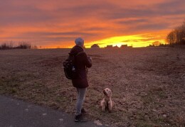 Sonnenuntergang Hailey mit Hundenanny