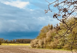 Kontraste im April - Landschaftsfoto aus der Altmark