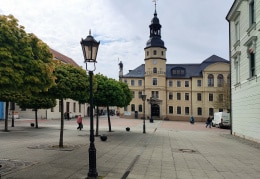 Marktplatz-Bäume von Crimmitschau 