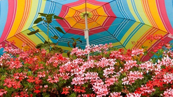 Ein bunter Sonnenschirm steht auf einem mit Blumen bepflanzten Balkon eines Wohnhauses .
