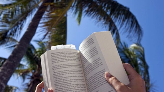 Eine Frau liest am Strand unter Palmen ein Buch