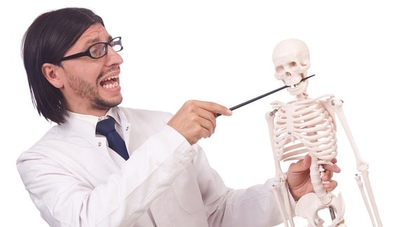 Lehrer mit Zeigestock und Skelettmodell