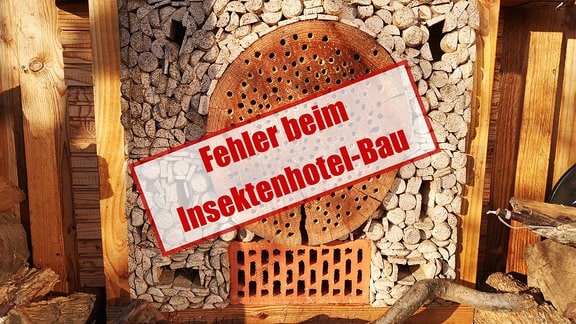 Collage: Insektenhotel an einer Holzwand. Schrift: Fehler beim Insektenhotel-Bau. 