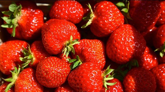 Große rote Erdbeeren
