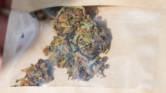 Cannabisblüten in einer Tüte