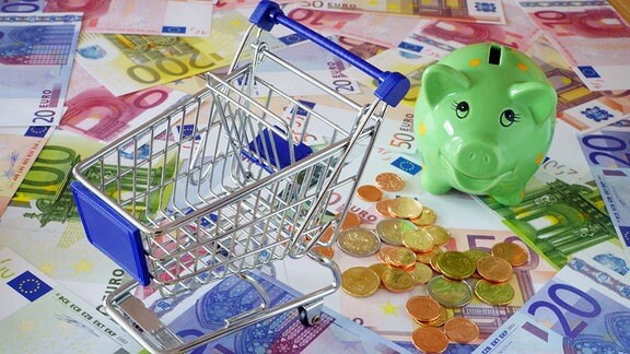 Illustration Haushaltskasse - Grünes Sparschwein auf Kreditkarten und Banknoten