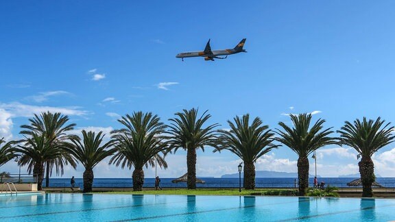 Swimmingpool mit Palmen, Hotelanlage in Santa Cruz, anfliegendes Condor Flugzeug