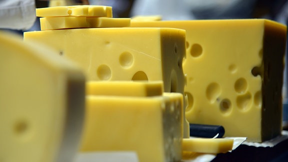 Bei einem Käsetest liegen verschiedene Sorten Emmentaler-Käse.