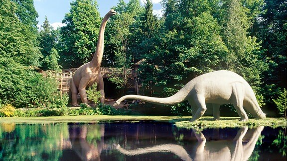Brachiosaurus (links) und Diplodocus (rechts) am See. 