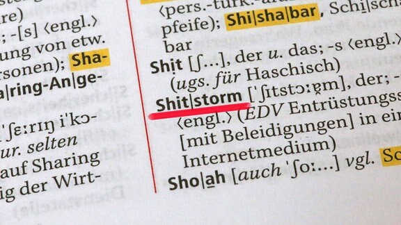 Symbolbild Shitstorm, Auszug aus der 28. Auflage des Duden