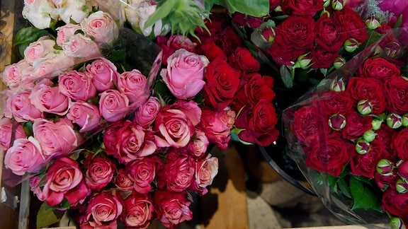 Rosen werden am Valentinstag in einem Blumenladen in Sydney angeboten.