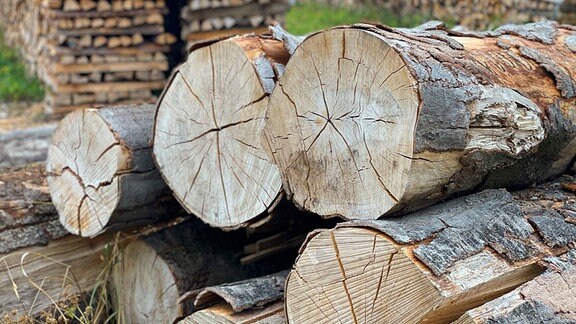 Brennholz zum trocknen gestapelt